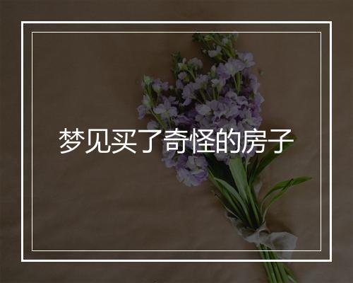 梦见买了奇怪的房子