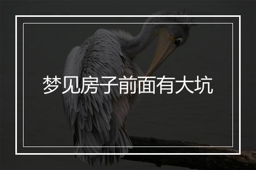 梦见房子前面有大坑