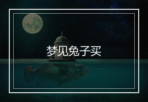 梦见兔子买