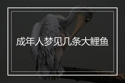 成年人梦见几条大鲤鱼