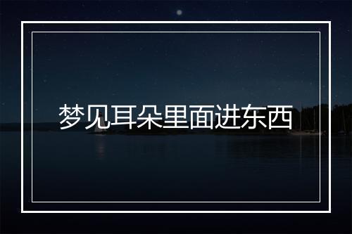 梦见耳朵里面进东西