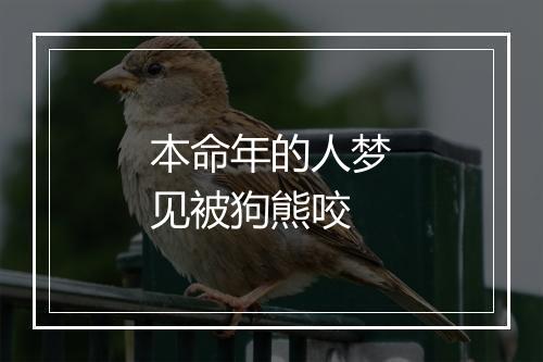 本命年的人梦见被狗熊咬