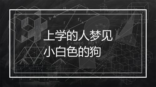 上学的人梦见小白色的狗