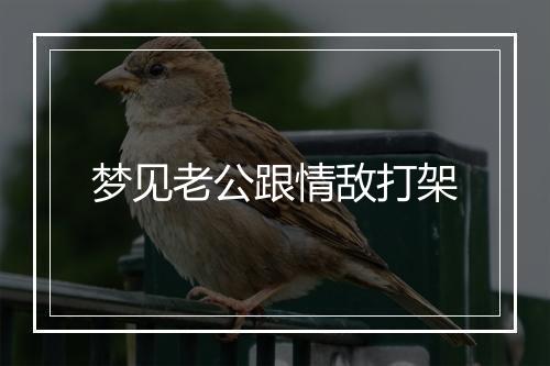 梦见老公跟情敌打架