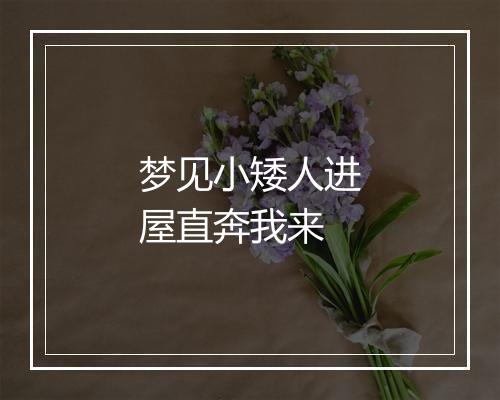 梦见小矮人进屋直奔我来