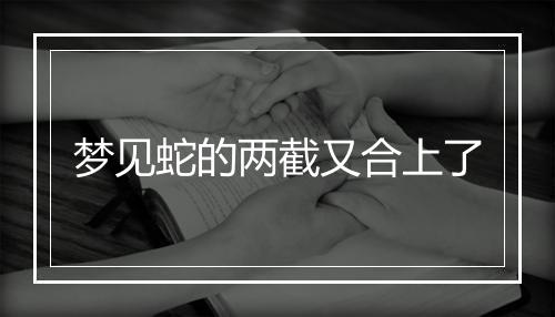 梦见蛇的两截又合上了