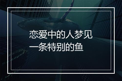 恋爱中的人梦见一条特别的鱼