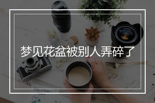 梦见花盆被别人弄碎了