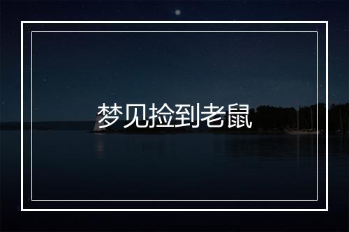 梦见捡到老鼠