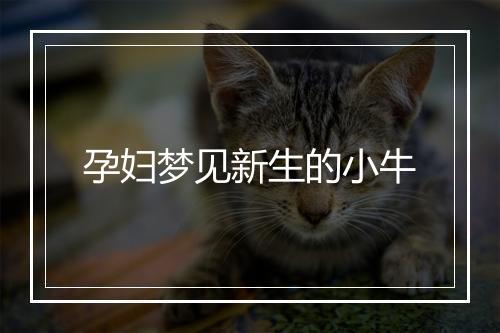 孕妇梦见新生的小牛