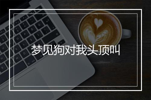 梦见狗对我头顶叫