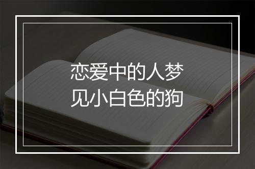 恋爱中的人梦见小白色的狗