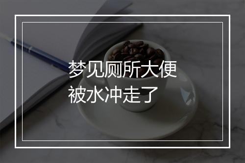 梦见厕所大便被水冲走了