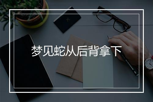 梦见蛇从后背拿下