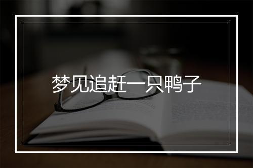 梦见追赶一只鸭子