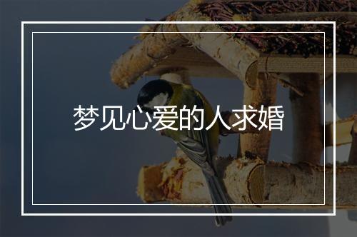 梦见心爱的人求婚