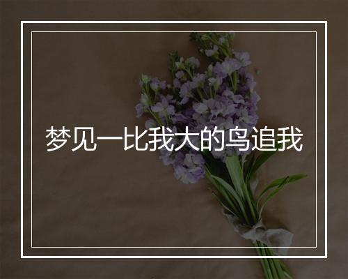 梦见一比我大的鸟追我