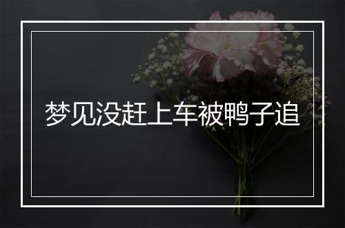 梦见没赶上车被鸭子追