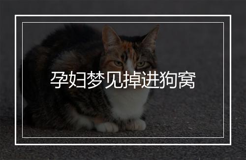 孕妇梦见掉进狗窝