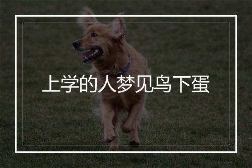 上学的人梦见鸟下蛋