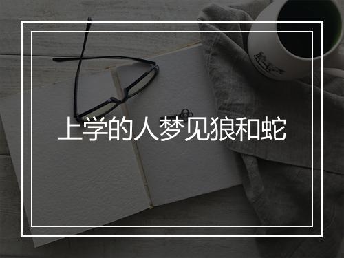 上学的人梦见狼和蛇