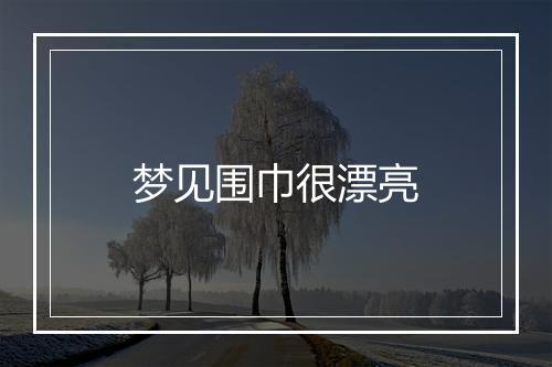 梦见围巾很漂亮