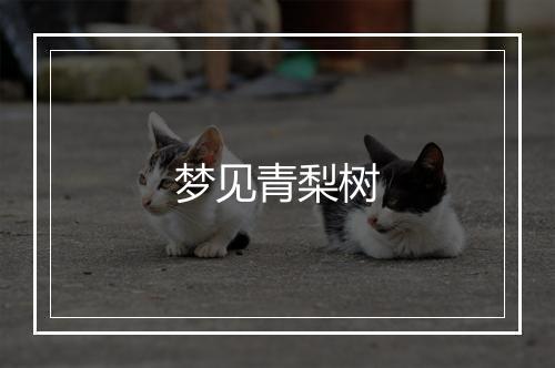 梦见青梨树