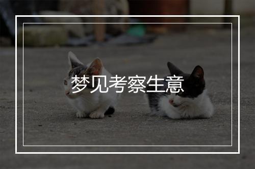 梦见考察生意