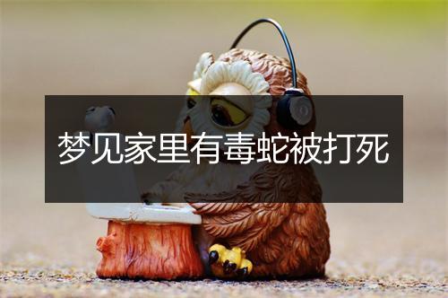 梦见家里有毒蛇被打死