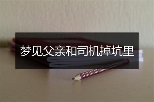 梦见父亲和司机掉坑里