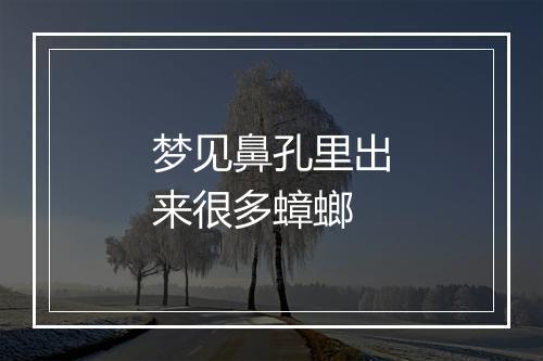 梦见鼻孔里出来很多蟑螂