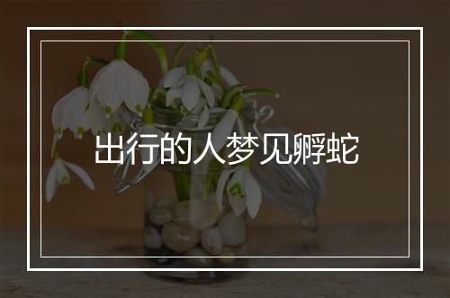 出行的人梦见孵蛇