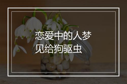 恋爱中的人梦见给狗驱虫