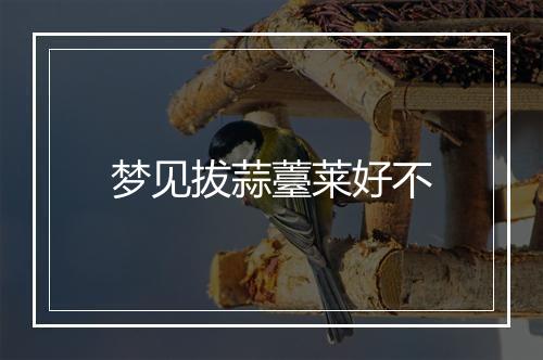 梦见拔蒜薹莱好不