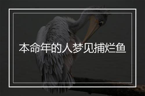 本命年的人梦见捕烂鱼