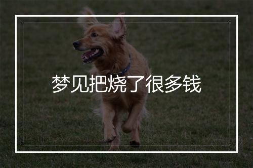 梦见把烧了很多钱