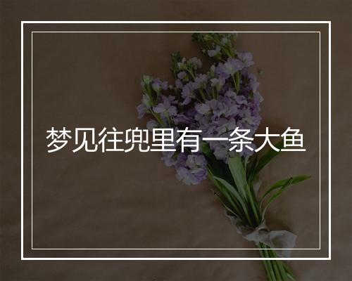 梦见往兜里有一条大鱼