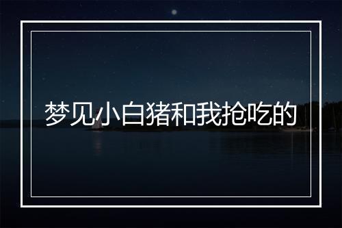 梦见小白猪和我抢吃的