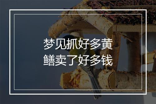 梦见抓好多黄鳝卖了好多钱