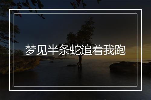 梦见半条蛇追着我跑