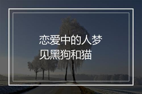 恋爱中的人梦见黑狗和猫