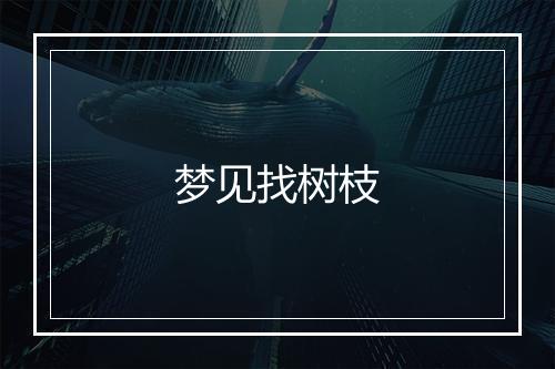 梦见找树枝