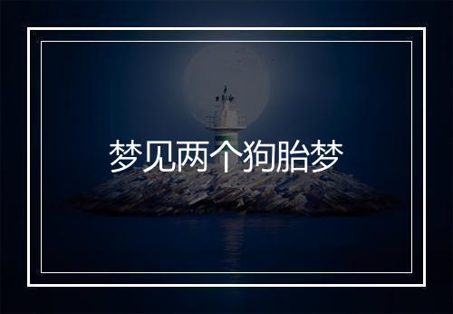 梦见两个狗胎梦