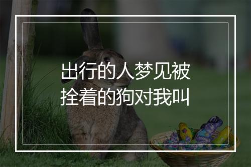 出行的人梦见被拴着的狗对我叫