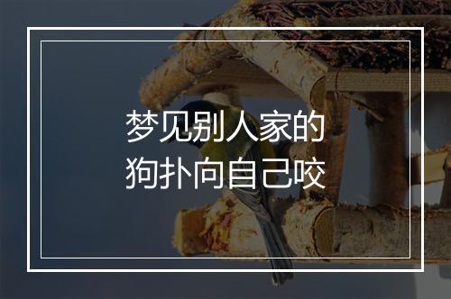 梦见别人家的狗扑向自己咬