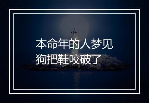 本命年的人梦见狗把鞋咬破了