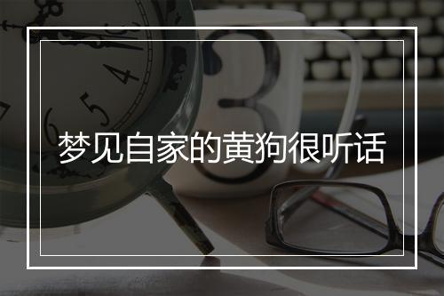 梦见自家的黄狗很听话