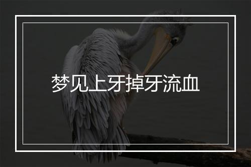 梦见上牙掉牙流血