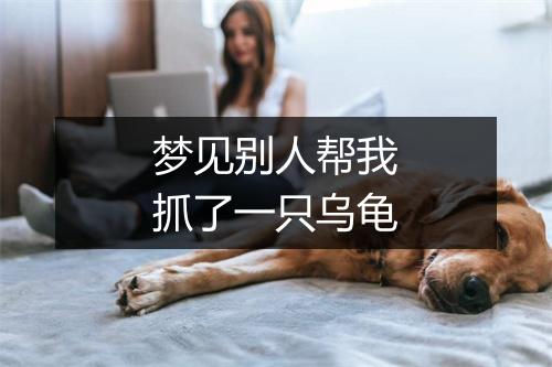 梦见别人帮我抓了一只乌龟