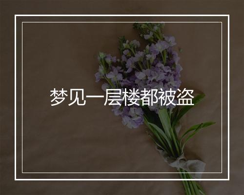 梦见一层楼都被盗